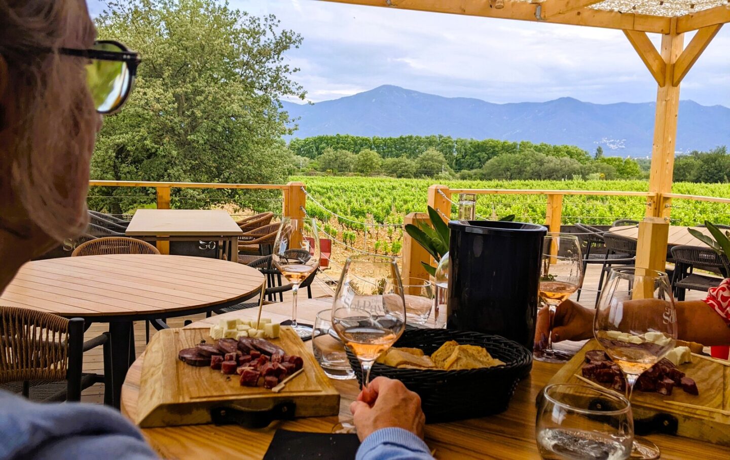 IMMERSION AU COEUR DU DOMAINE SOL PAYRE Elne