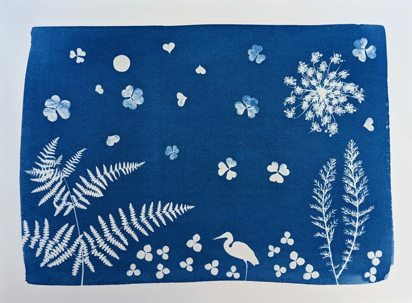 Initiation au cyanotype autour du végétal  Beaugency