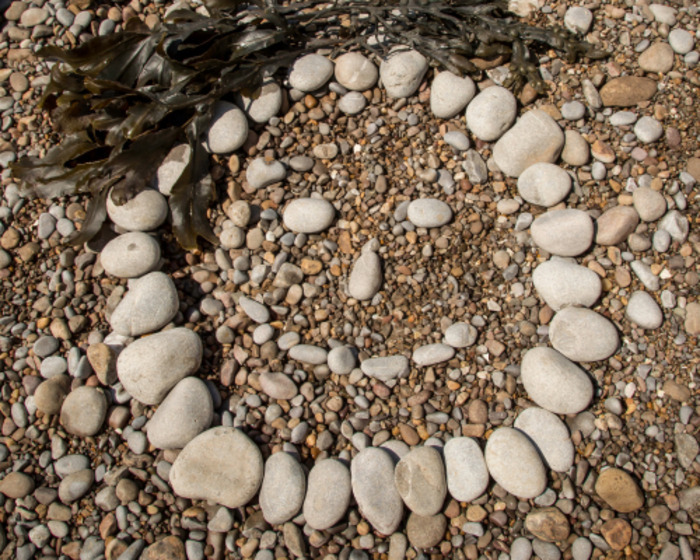 Initiation au land art, Centre Horticole Émile Senteurs, Saint-André-lez-Lille