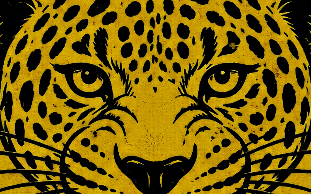 Jaguares Tropicales Les Eiders Paris