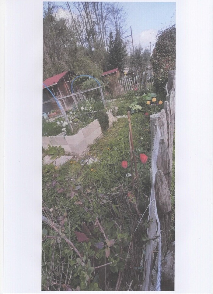 Jardiner en milieu urbain Jardibel Suresnes