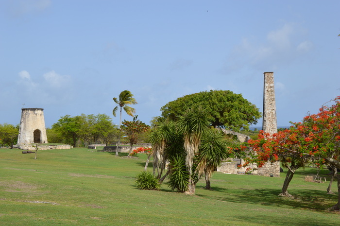 Jeu de piste et quizz sur la flore de l’habitation Murat et des Antilles, Ecomusée de Marie-Galante, Grand-Bourg