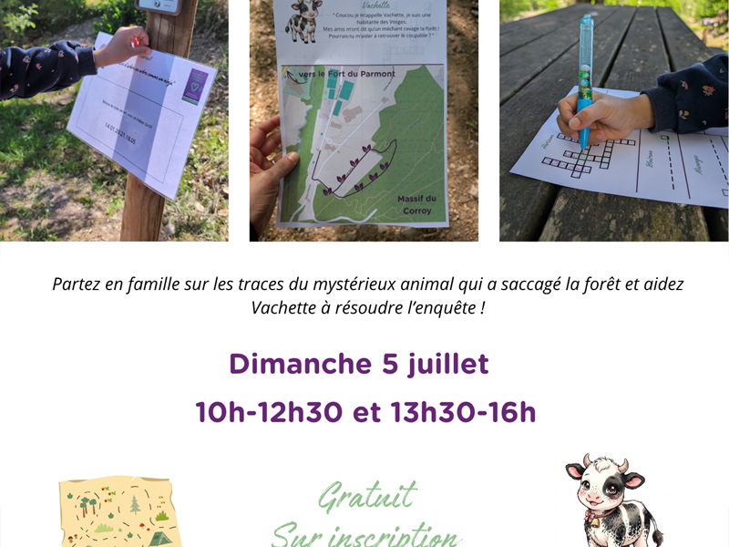 Jeu de piste la forêt bouge Stade VTT des Vosges Secrètes Remiremont