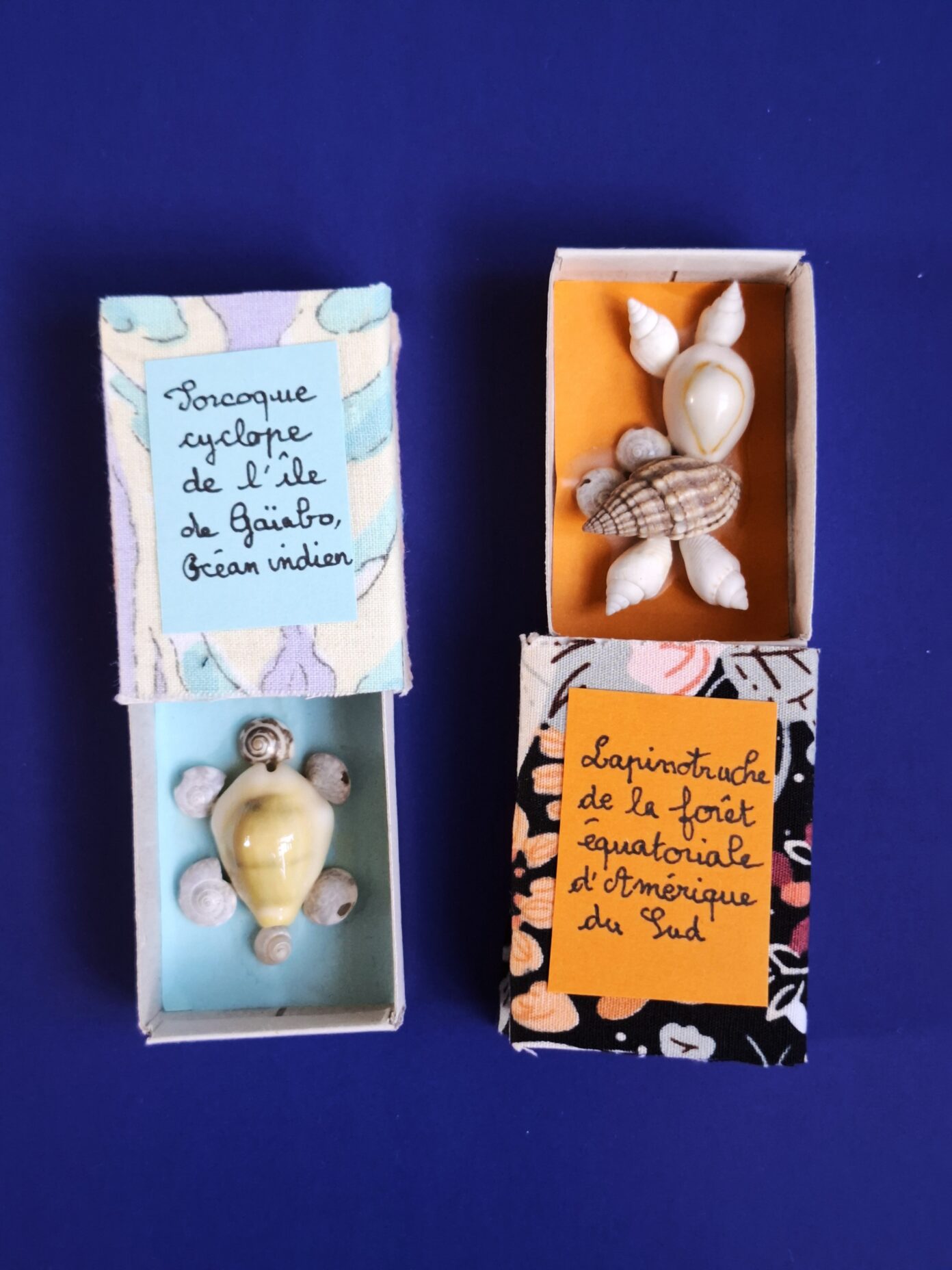 JEU(X)DIS D’ÉTÉ | Atelier créatif Chimère coquillage  Méru