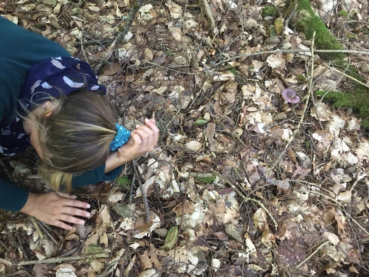 JOUER ET RÊVER DANS LES BOIS Cie l'hiver nu Lanuéjols 2026-07-27