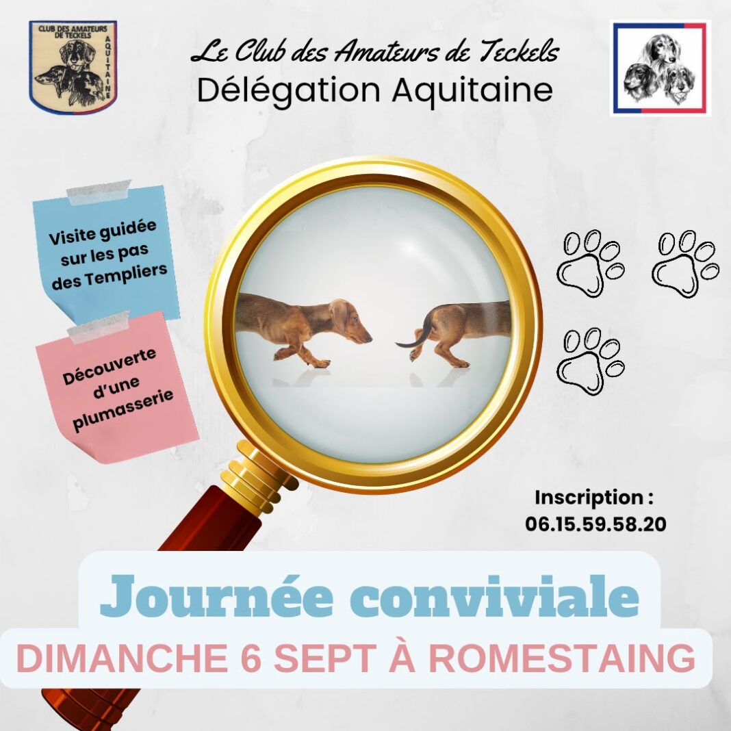 Journée conviviale  Romestaing