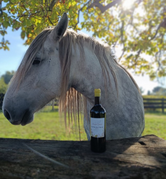 Journée Oenotourisme au Vignoble Au Pas du Cheval  Cézac