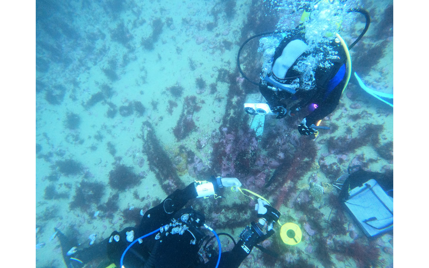 Journées européennes de l’archéologie Devenez archéologue sous-marin… en piscine Saint-Jean-de-Luz