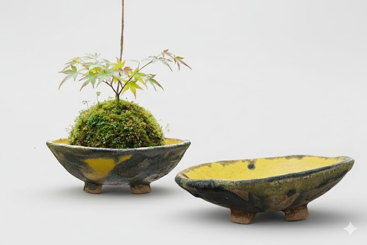 KOKEDAMA ET SON ÉCRIN EN CÉRAMIQUE ATELIER CÉRAMIQUE SANDRINE SUERES Montesquieu-Volvestre
