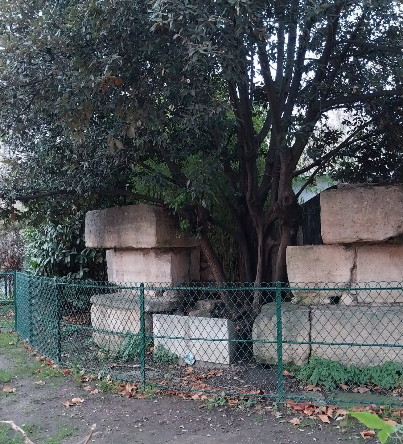 Pierres conservées de la Bastille