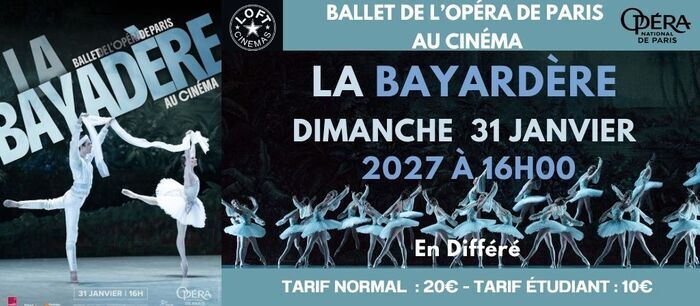 La Bayardère Loft Cinémas Châtellerault