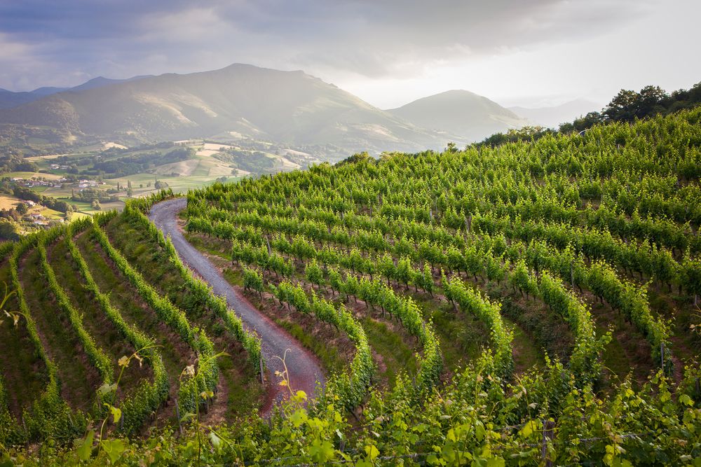 La guinguette des vignerons  Irouléguy