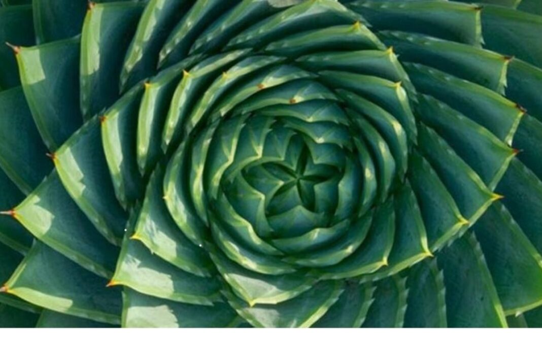 la nature modèle scientifique Bibliothèque Valeyre Paris