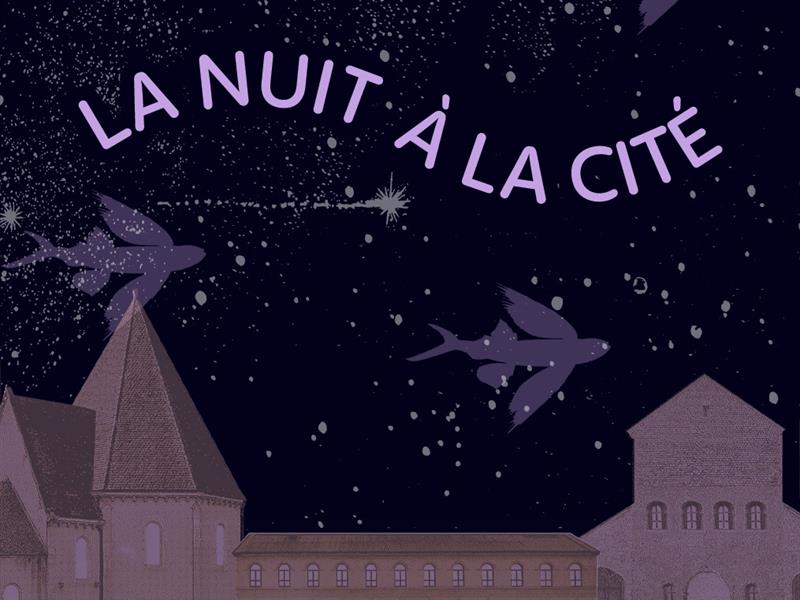 La Nuit à la Cité L’Arsenal Jean-Marie Rausch Metz