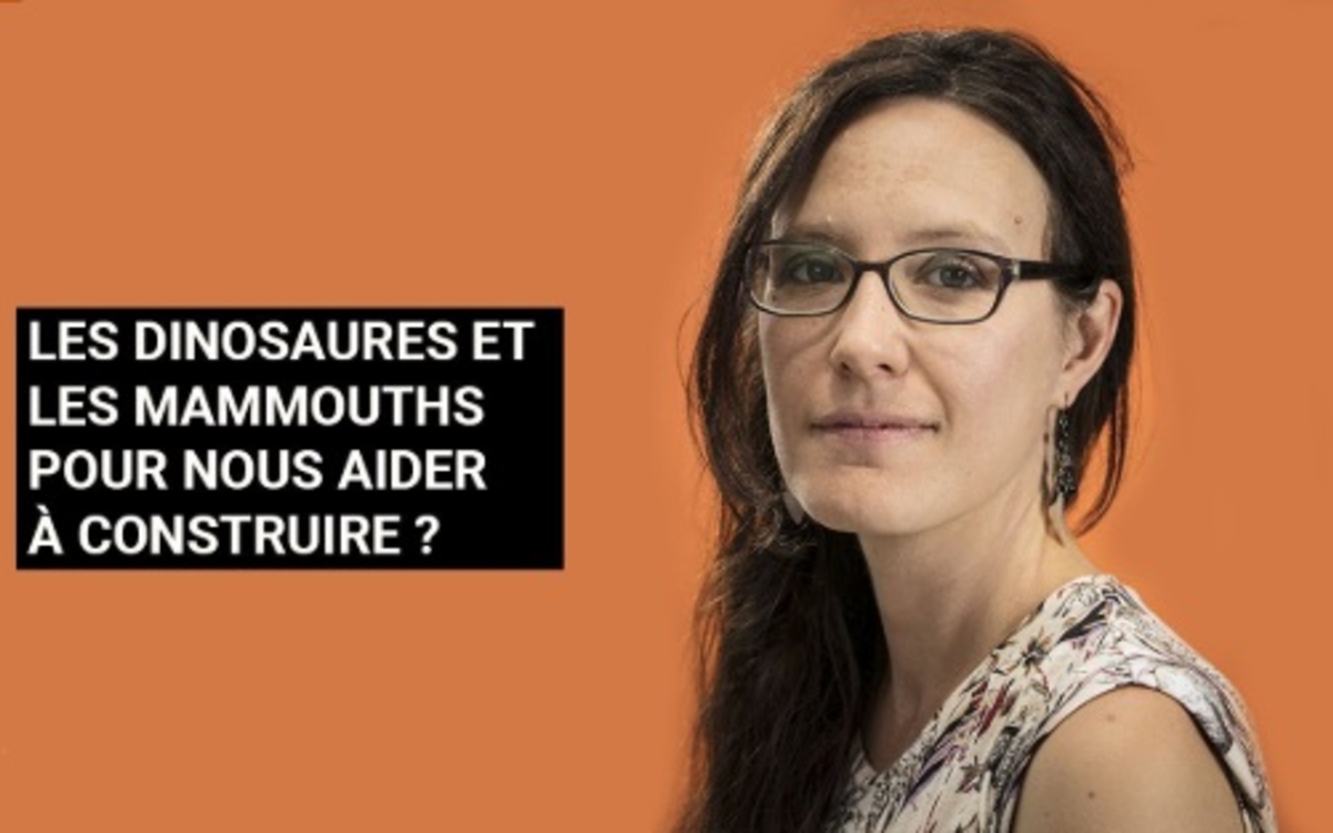 La paléo-bioinspiration : quand les fossiles inspirent le futur Bibliothèque Italie Paris