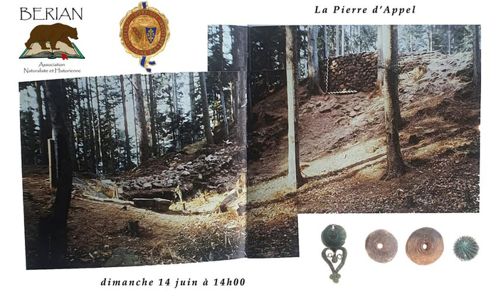 LA PIERRE D’APPEL – MASSIF DE RÉPY, 48 Prom. de la Pierre d’Appel, 88480 Étival-Clairefontaine, Étival-Clairefontaine