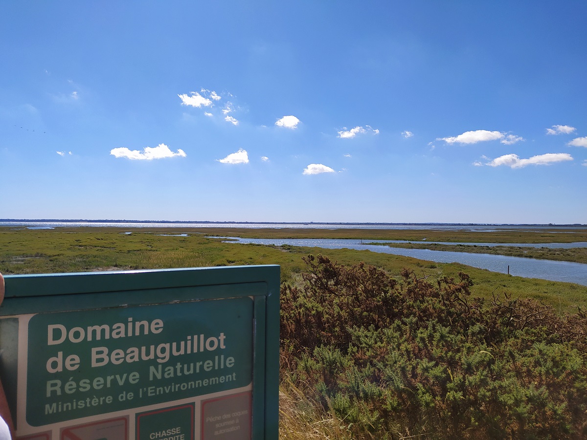 La plage et les dunes Sainte-Marie-du-Mont