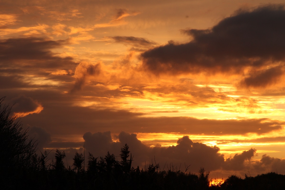 La Réserve au crépuscule Réserve naturelle nationale du Domaine de Beauguillot Sainte-Marie-du-Mont