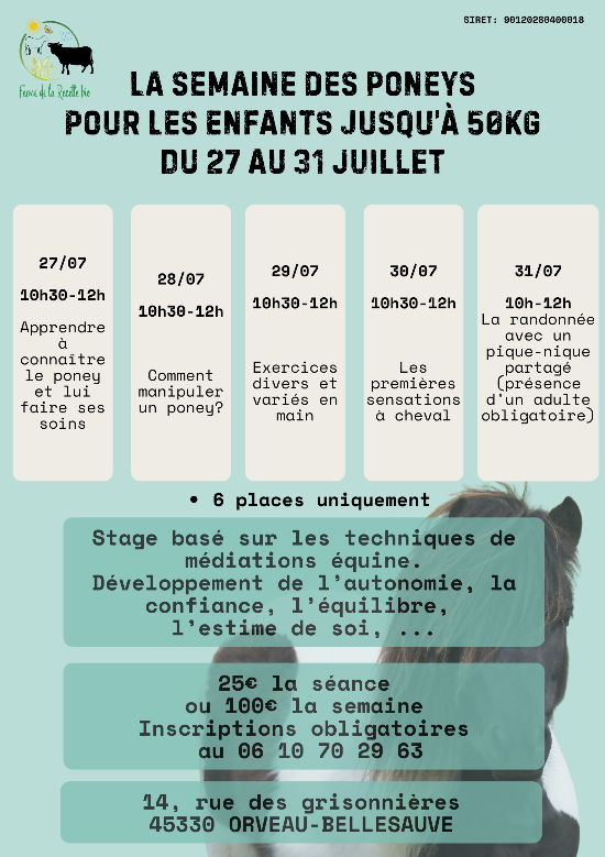La semaine des poneys  Le Malesherbois