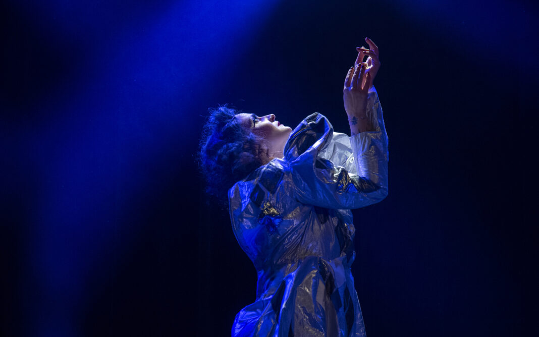La Velu.e – cabaret de tous poils Cirque Electrique Paris