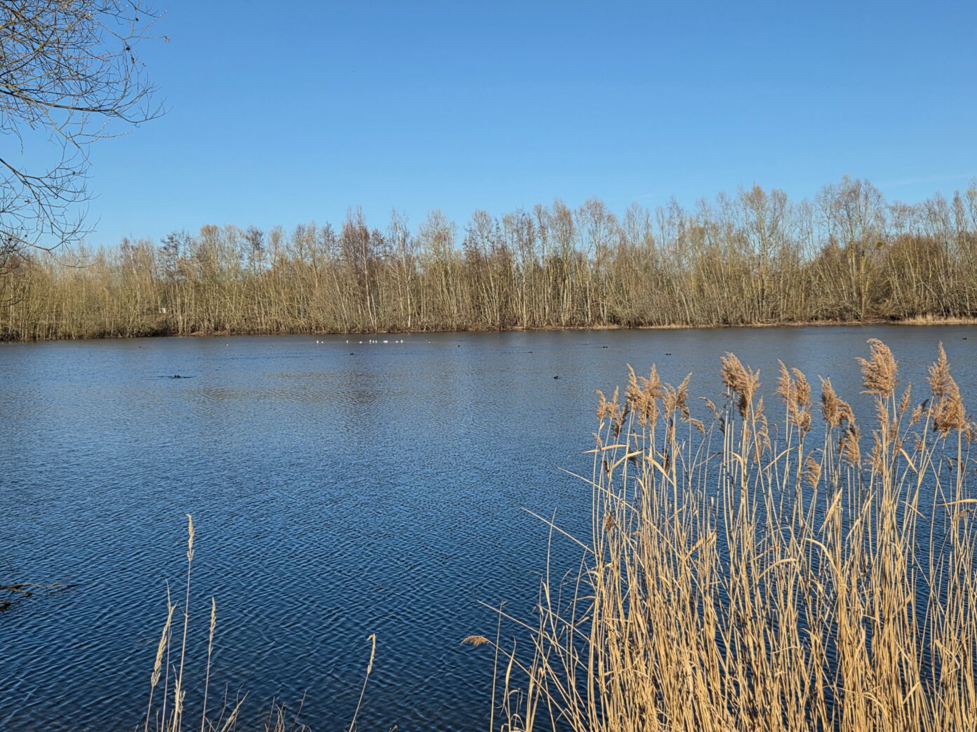 La vie du Trou Boully en automne  Le Plessis-Brion