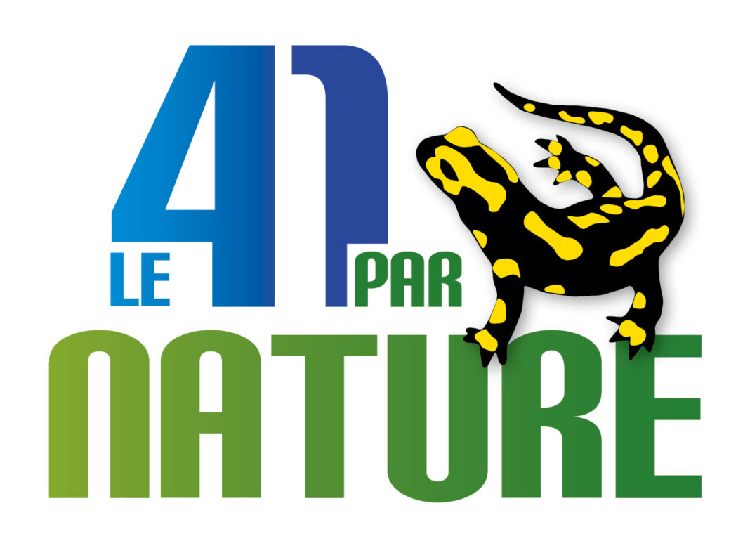 L&rsquo;Azuré du serpolet et autres papillons  Mareuil-sur-Cher