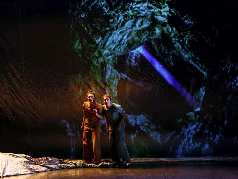 Le chemin du Wombat au nez poilu Auditorium de la Louvière Épinal