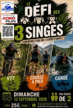 Le défi des 3 singes  Sinceny