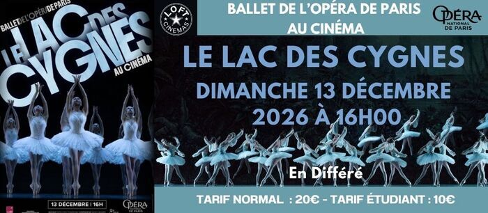 Le Lac des Cygnes 5 allée du Chatelet - Châtellerault 2026-12-13