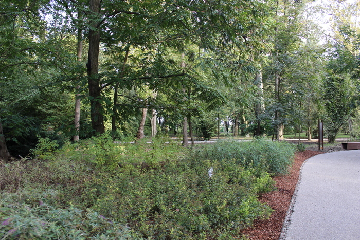 Le monde dans un jardin : visites guidées et ateliers, Parco Giardino di Villa Strozzi Begozzo a Palidano di Gonzaga, Palidano