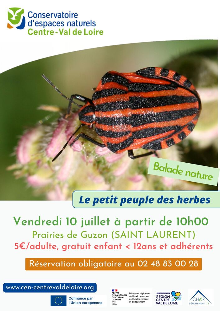 Le petit peuple des herbes  Saint-Laurent