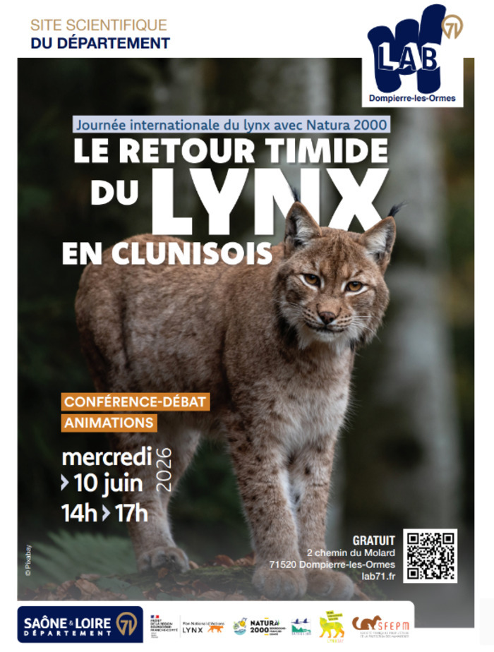 Le retour timide du Lynx, Lab 71, Dompierre-les-Ormes, Dompierre-les-Ormes