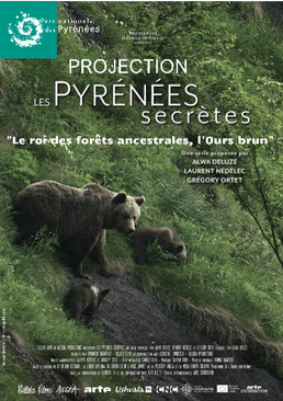 Le roi des fôrets ancestrales, l&rsquo;Ours Brun Maison du parc national des Pyrénées Laruns