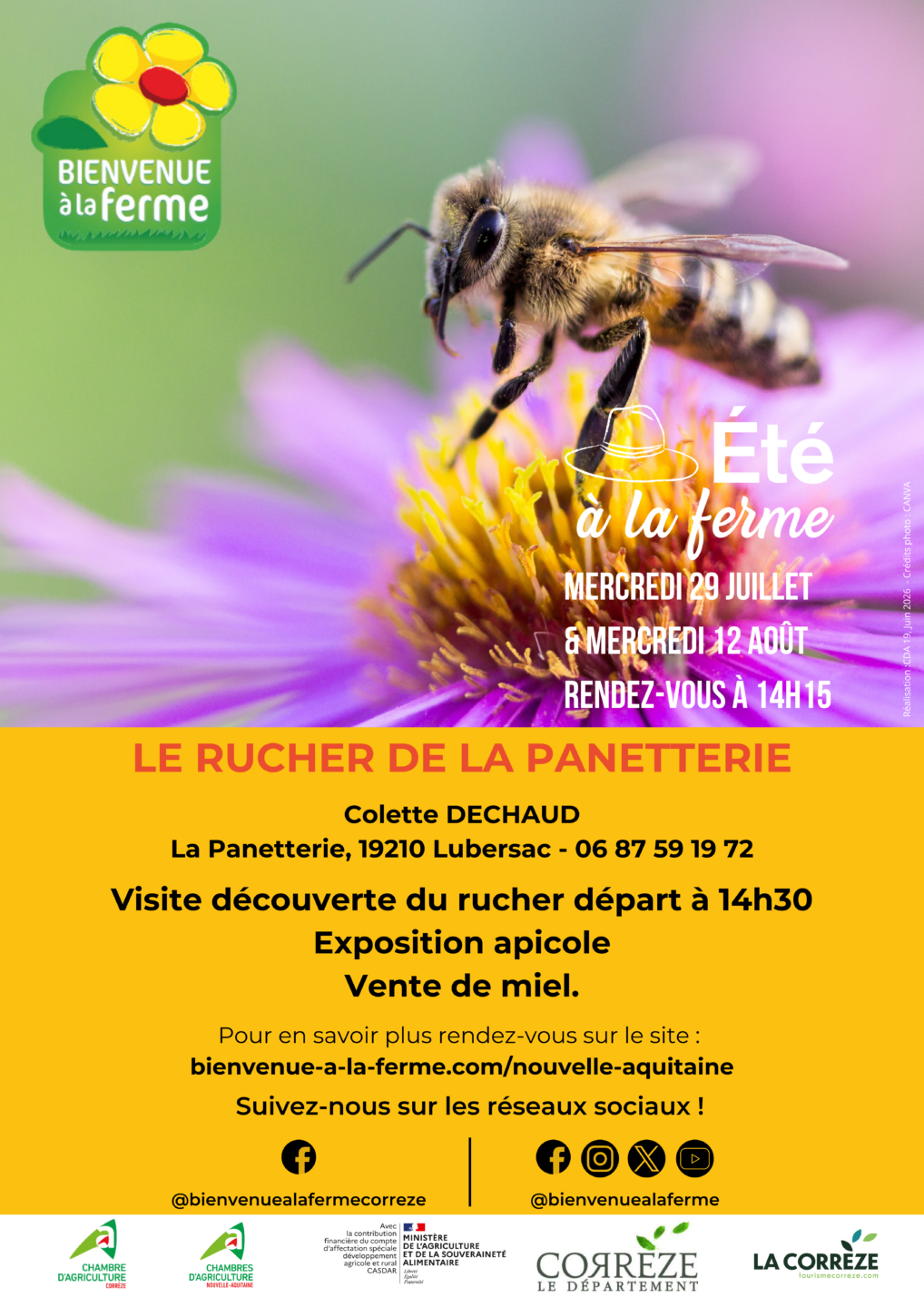 Le Rucher de la Panetterie Eté à la Ferme BAF Lubersac