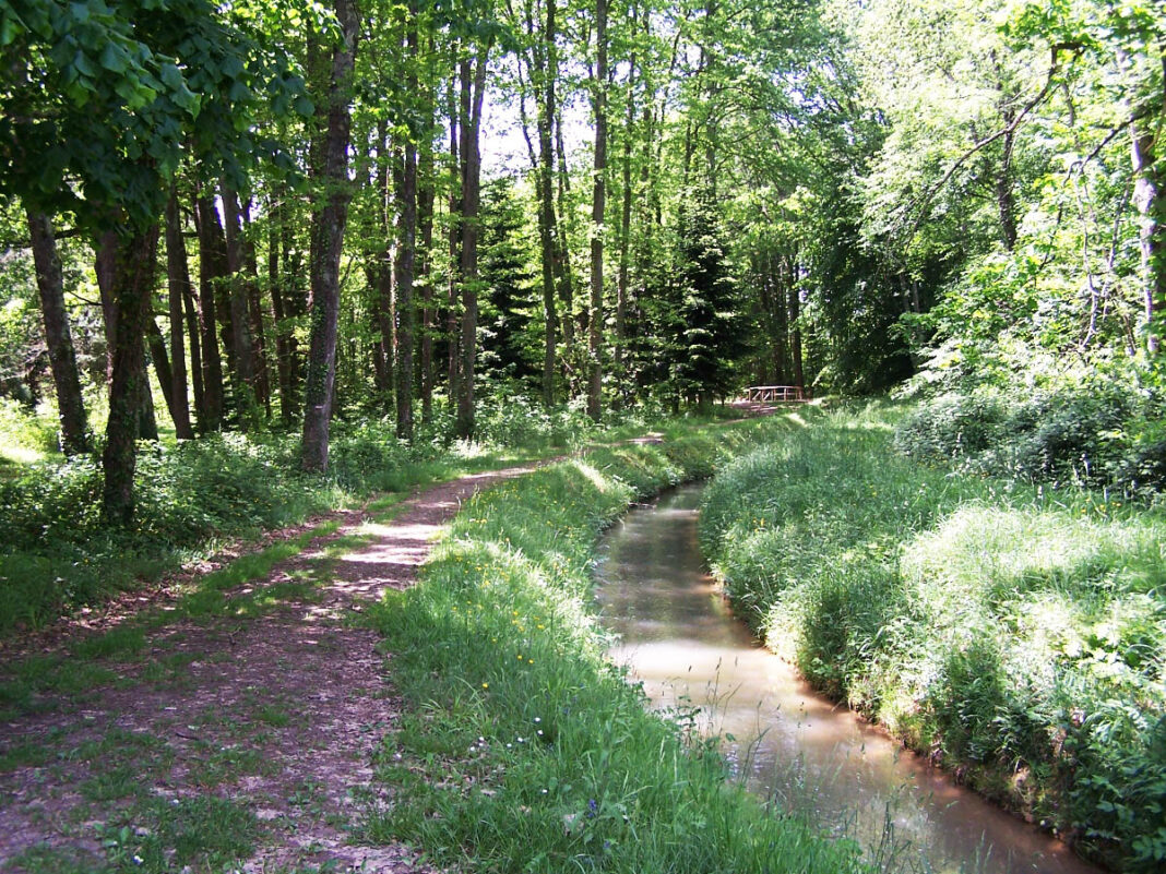 LECTURE DE PAYSAGE AMBULATOIRE MAISON DE L’ARBORETUM Cardeilhac