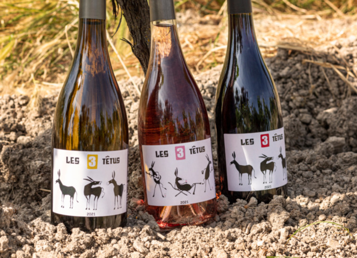 Les 3 Têtus vous donnent rendez-vous le 6 juin !, Les 3 Têtus, Gaillac