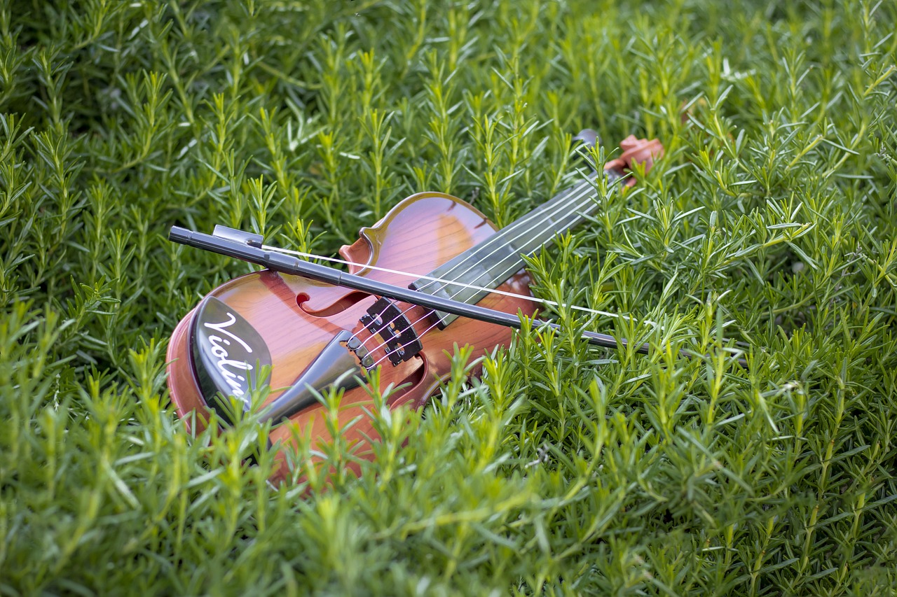 Les Amis de Ségur Concert flûte violon Place de l’église Ségur-le-Château