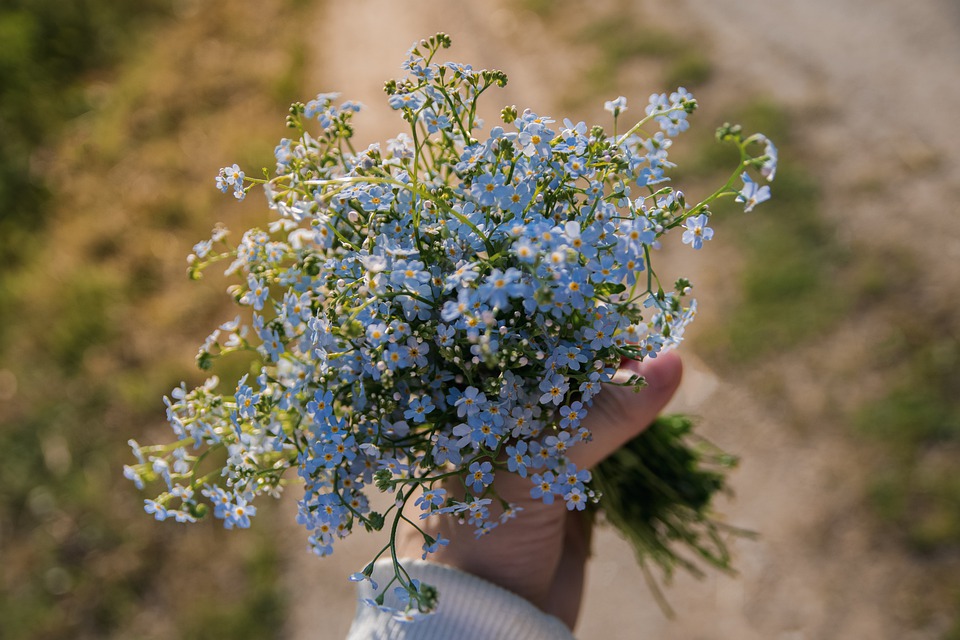 Les Ateliers de la mine Atelier Art floral – Lavaveix-les-Mines