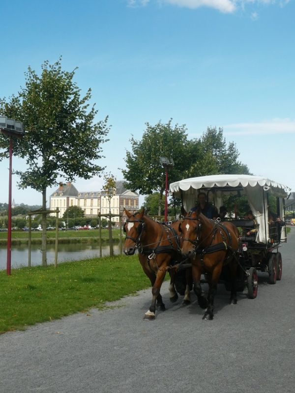 Les balades en calèche de l&rsquo;été  Torigny-les-Villes