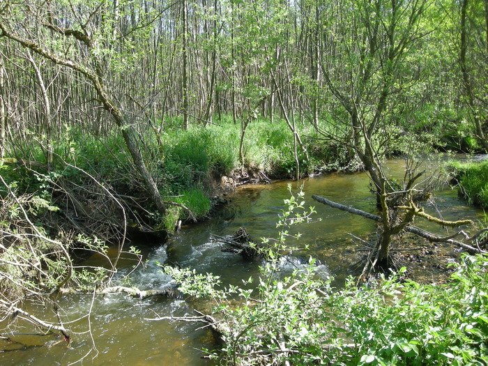 Les Fossottes