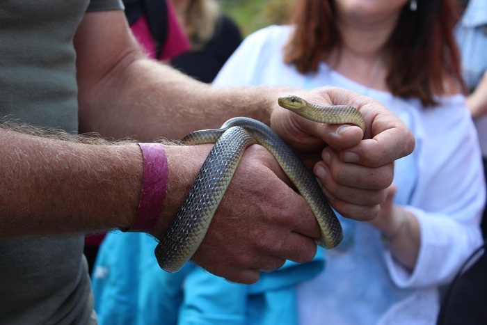 Les habitants de l’Ascétique dans le parc thermal, Kurpark Bad Schwalbach, Bad Schwalbach