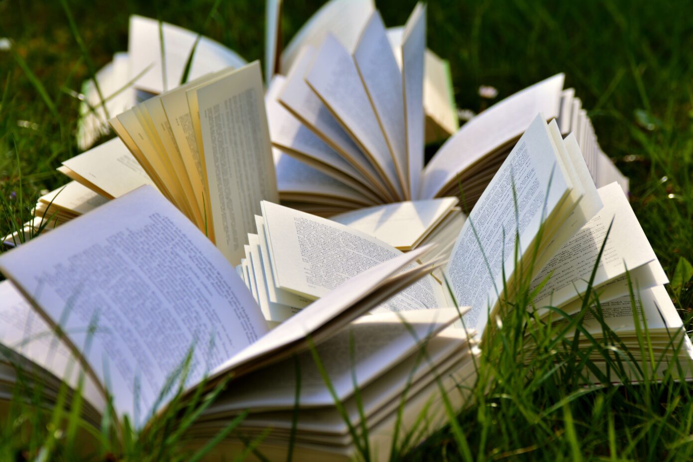 Les Jeudis de Cap 33 Jeux, set & livre  Cérons