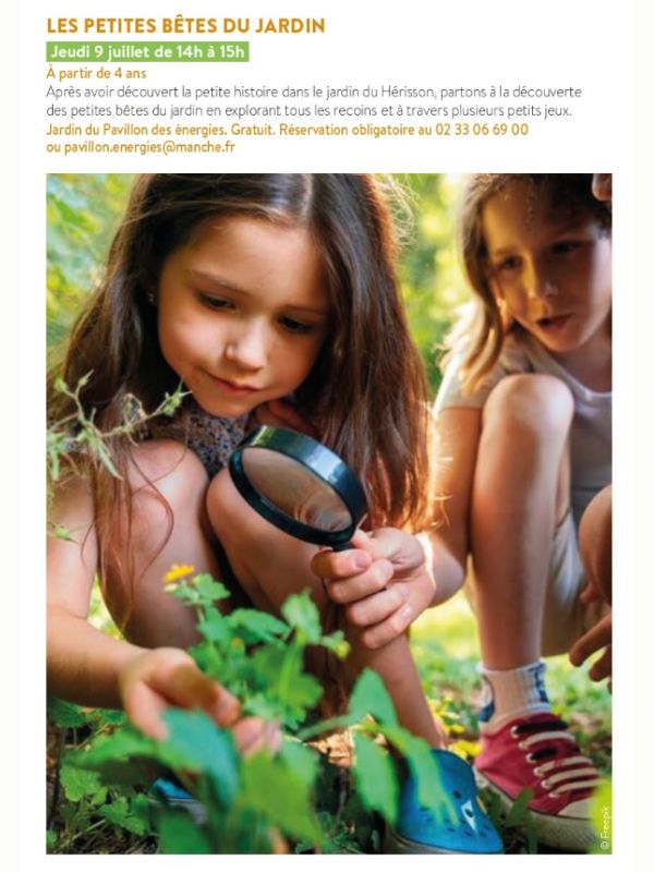 Les petites bêtes du jardin  Saint-Lô