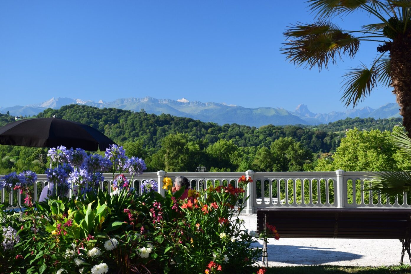 Les Pyrénées en ville  Pau