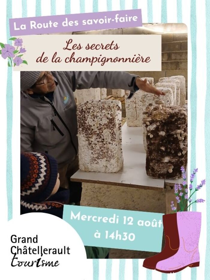 Les secrets de la champignonnière Champignonnière Champis Clairvalois Scorbé-Clairvaux