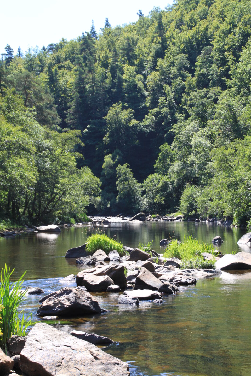 LES SORTIES NATURE AU FIL DE LA TRUYÈRE  Le Malzieu-Ville