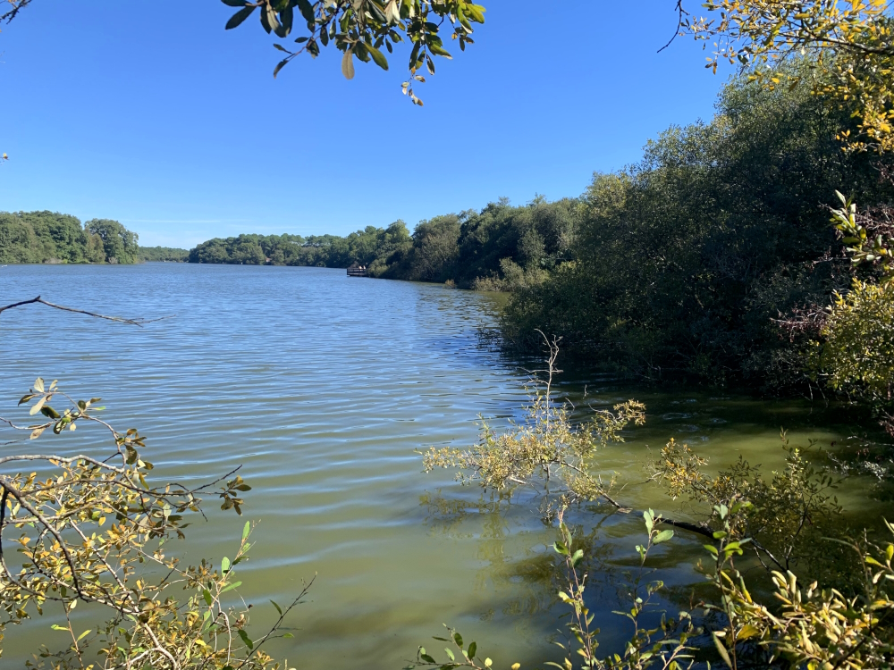 Les visites guidées de la Réserve Naturelle de l’Etang Noir Réserve Naturelle de l’Etang Noir Seignosse