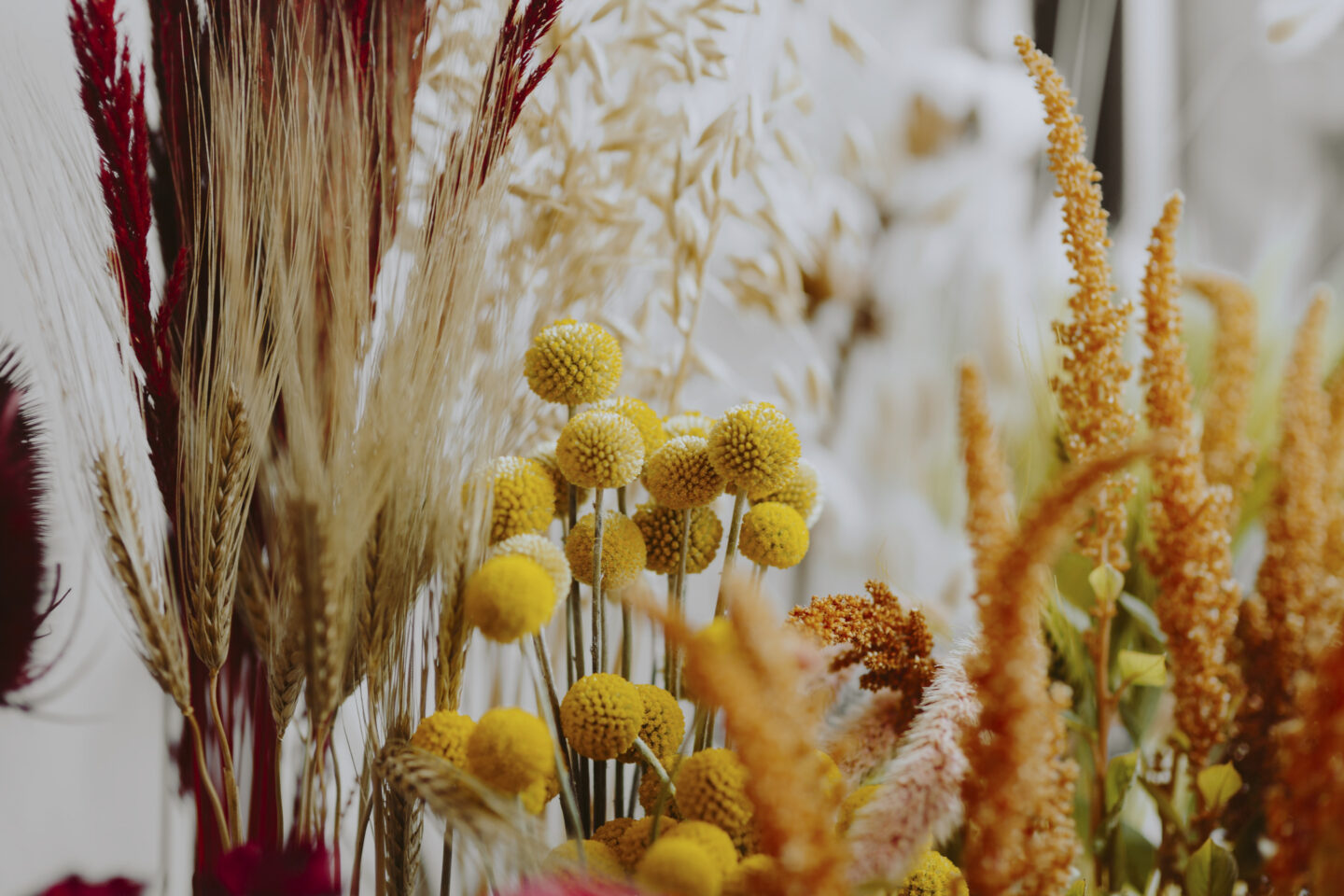 L&rsquo;été de l&rsquo;Office Composition de fleurs séchées  Saint-Magne