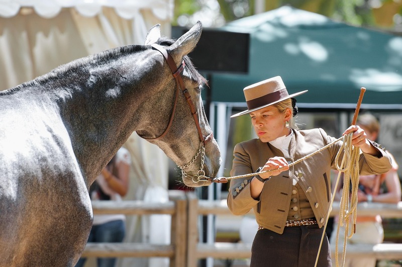 L&rsquo;hippodrome de Langon fait son show La Petite Bidane Langon