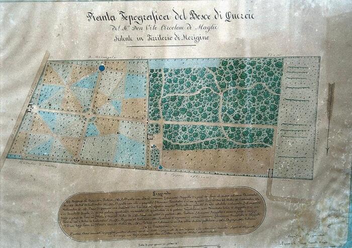 Maglie ville de jardins – III édition, Parco dell’Istituto Circolone – Settore Agrario (IISS LANOCE), Maglie